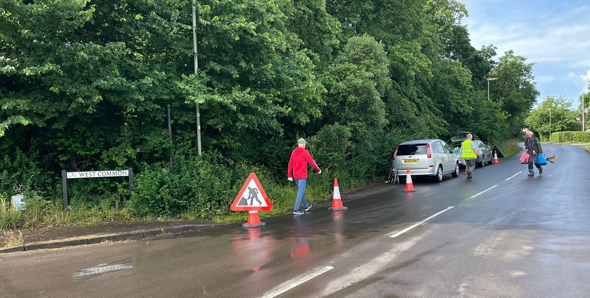 Verge Clearing West Common 6 June 2025